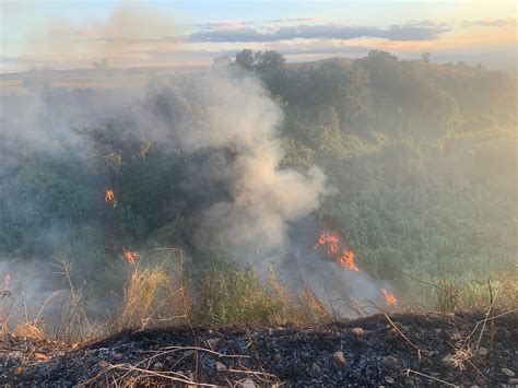 Incendi Brucia Il Foggiano Fiamme A Sant Agata Di Puglia E Chieuti