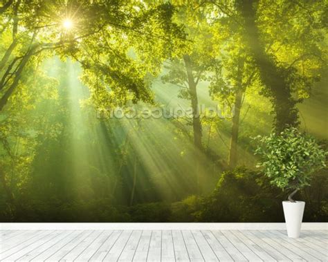 The Forest Of Heaven Wallpaper Wall Mural Wallsauce Uk