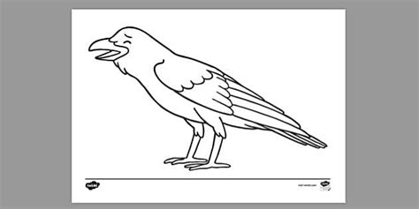 FREE Crow Colouring Colouring Sheet Twinkl