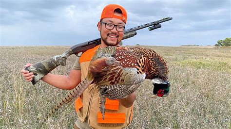 South Dakota Public Land Pheasant Opener Catch Clean Cook Youtube