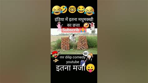 Funny 😂😅 Pliz Subscrib Karo 🙏 Youtube