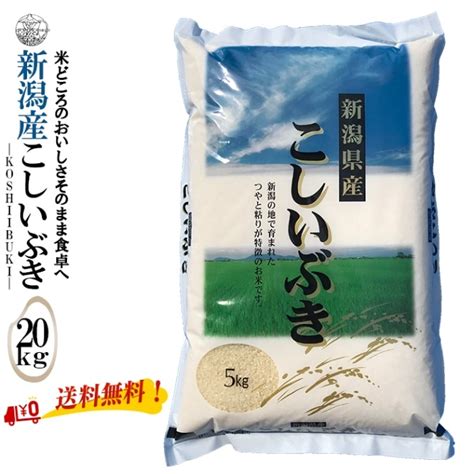 農家直送新米！ 玄米20キロ 新潟県産こしいぶき 特別栽培米 5年産 低温冷蔵 お見舞い 米・雑穀・粉類