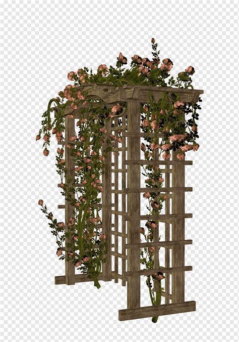 Arch Flower Rose Gate Frame Albom Outdoor Structure Png Pngwing