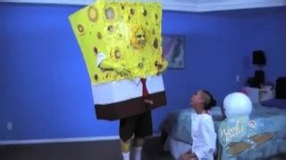Spongeknob Porn Videos Pornhub