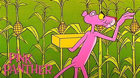 Pink Panther Prances Through Cornfields Minute Compilation The