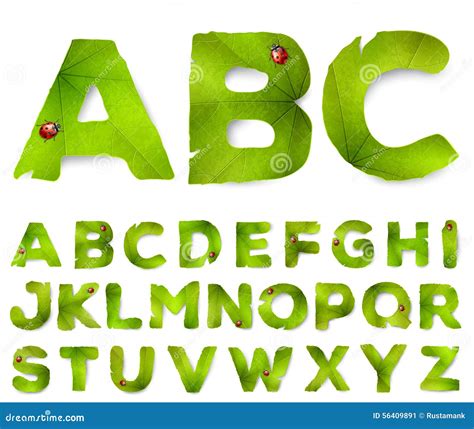 Letras Del Alfabeto Del Vector Hechas De Las Hojas Verdes Ilustración