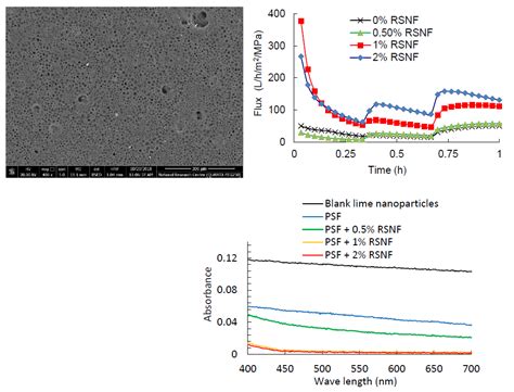 Polymers Free Full Text Effect Of Unbleached Rice Straw Cellulose Nanofibers On The