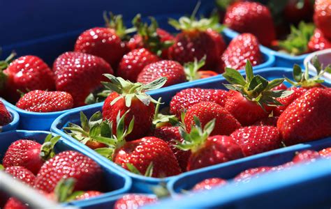 La Frutta E La Verdura Che Fanno Bene Al Cervello FOTO