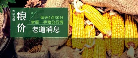 2022年粮补来准信了！玉米、大豆每亩补贴多少钱？定了！补贴新浪新闻