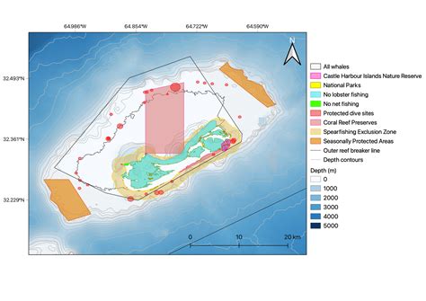 Research — Whales Bermuda