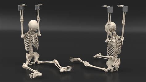 Human Male Skeleton Shackled D Model Ds Blend C D Fbx Max