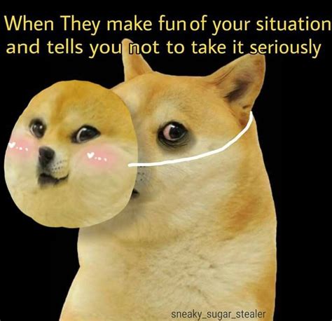 Angry Doge Meme Template - img-paraquat