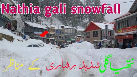 Nathia Gali Live Snowfall Nathia Gali Weather Murree Weather Update