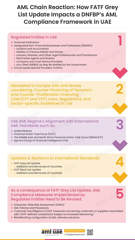 Aml Compliance Officer Role And Responsibilities Aml Uae