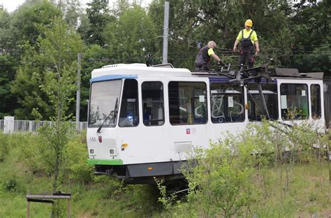 Kurier Pl Tramwaj Wypad Z Szyn W Lasku Arko Skim S Ranni