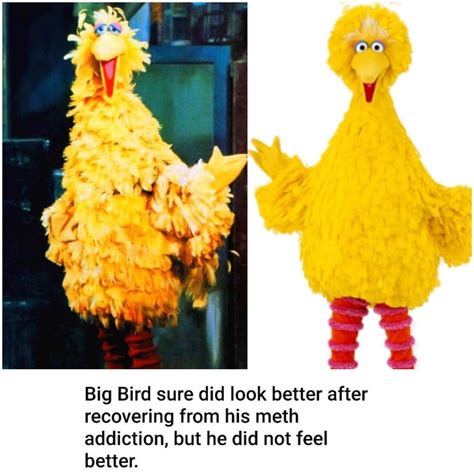 Big Bird Wants To Snap Bertstrips