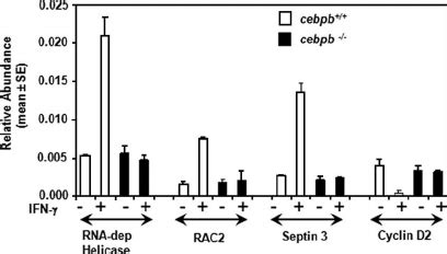 Quantitative Rt Pcr Analysis Of The Expression Of Some Transcripts