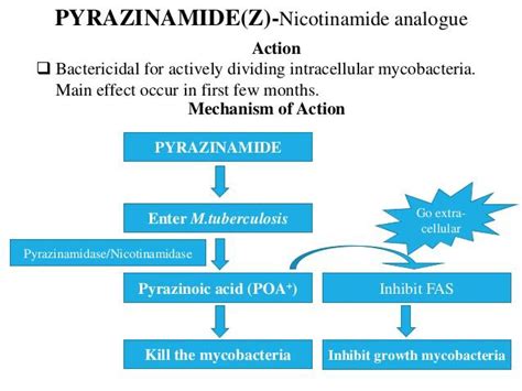 Pyrazinamide mechanism (www.google.com) | Download Scientific Diagram