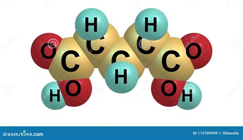 Glutaric Acid Molecular Structure Isolated on White Stock Illustration ...