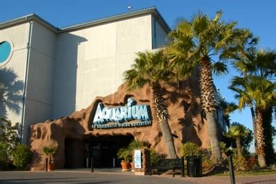 Aquarium Kemah Boardwalk - MySummerCamps