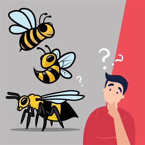 Bee, Wasp, and Hornet Identification – Pest Supply Canada