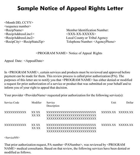 Sample Appeal Letter For No Prior Authorization Sample