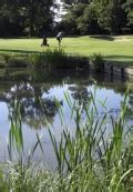 Bedale Golf Club - Golfshake Golf Guide