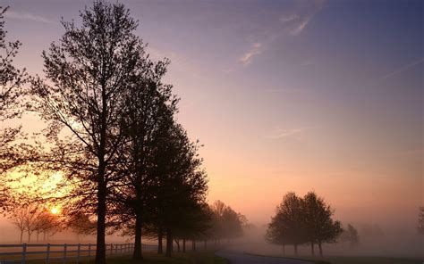 Fog morning wallpaper | nature and landscape | Wallpaper Better