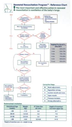 Campus Store Neonatal Resuscitation Program Nrp Reference Chart