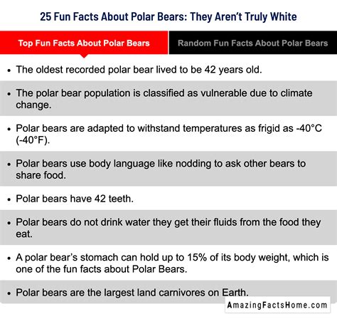 Top Fun Facts About Polar Bears