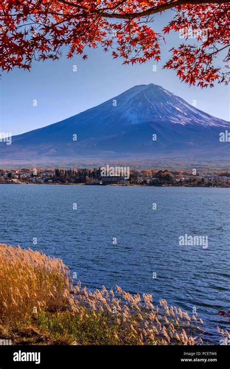 Snow-capped Mount Fuji (Fujisan, 富士山) with autumn foliage from Lake ...