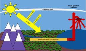 Carbon Cycle & Greenhouse Effect - Liem "YOLO SWAGMASTER 69" Tran