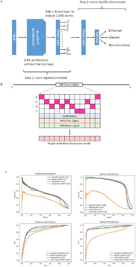 Figure 1 From Inferring Transcriptional Activation And Repression