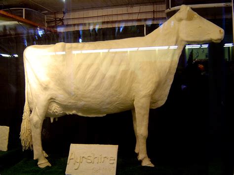 Butter Cow The Holy Grail Of The Iowa State Fair Bradley Newman Flickr