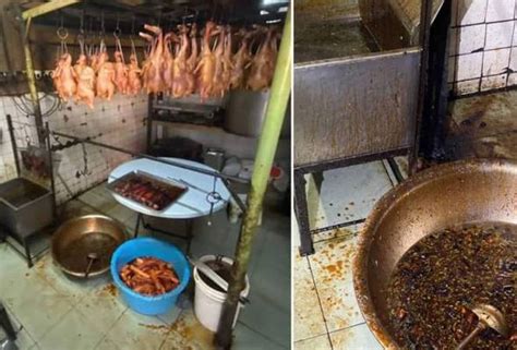 Restoran Jijik Diarah Tutup Dapur Kotor Ada Najis Tikus Astro Awani