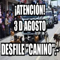 Meme Personalizado Atenci N D Agosto Desfile Canino