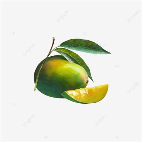 Raw Mango With Slice Clipart Green Raw Mango Mango Slice Png