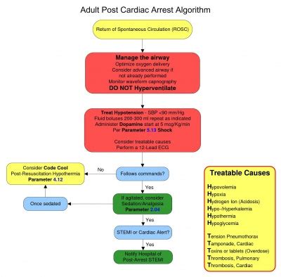 Cardiac Arrest Algorithm / PALS Cardiac Arrest Algorithm - ACLS Medical Training / Here is the ...