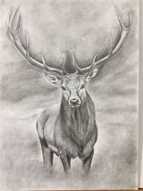 Original Realistic Deer Pencil Drawing - Etsy