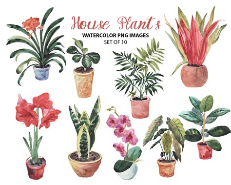 Watercolor House Plants Clipart Indoor Plants Clip Art Watercolor Nature Clip Art Etsy