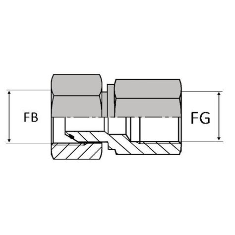 BFFG Adaptateur Hydrauliquedroit Femelle Tournant BSP X Femelle Gaz