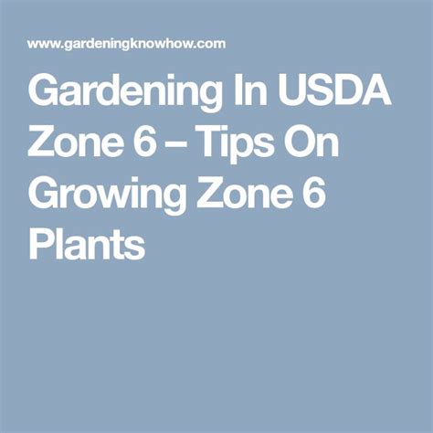 Zone 6 Growing Tips What Are The Best Plants For Zone 6 Plants Plant Zones Gardening Zones