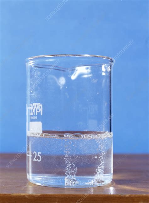 Magnesium reacting with water - Stock Image - A500/0369 - Science Photo ...