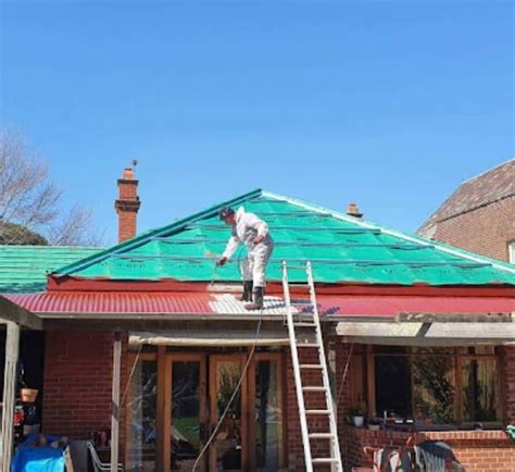 Roof Painting Pitcher Perfect Roofing