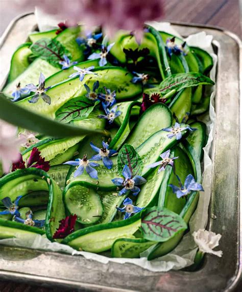 Refreshing Cucumber Borage Salad Frolic Fare