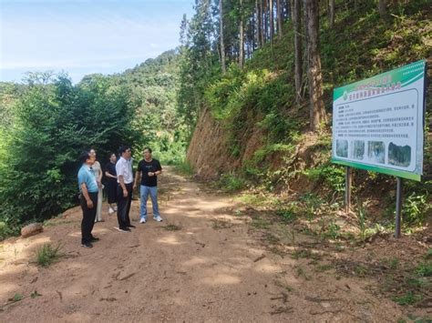 安远县政协委员调研组在安子岽林场开展林下经济调研 关注森林