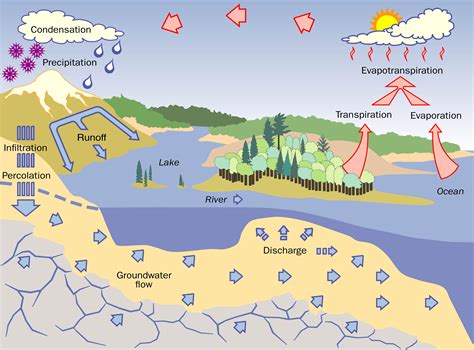 Groundwater Cycle