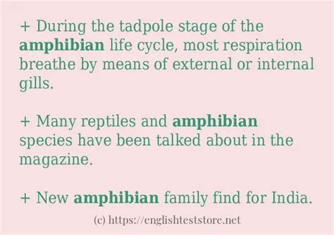 "amphibian" some ways to use - EnglishTestStore Blog