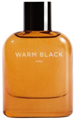 Les Meilleurs Parfums Pour Homme De Zara