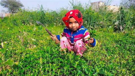 Gay Ke Liye Chara Nikalte Huye Frist Vlog YouTube